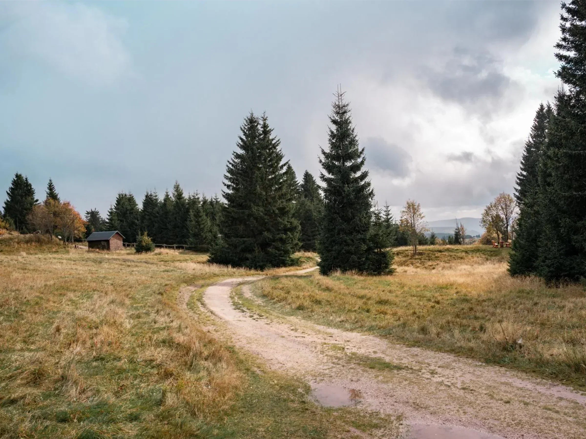 Unsere liebsten Draußen-Orte im Erzgebirge